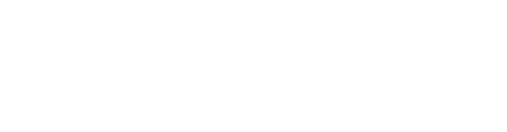 Partner/Subvención